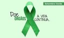 Setembro verde